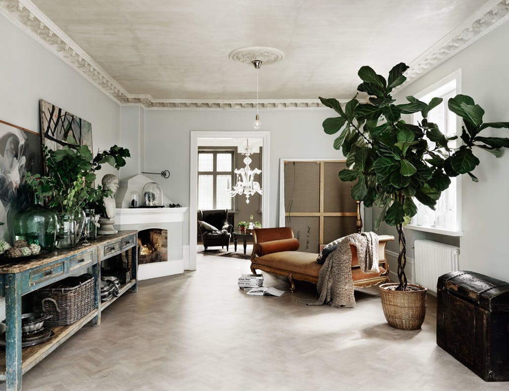 How to Incorporate Indoor Trees Into Your Home Design