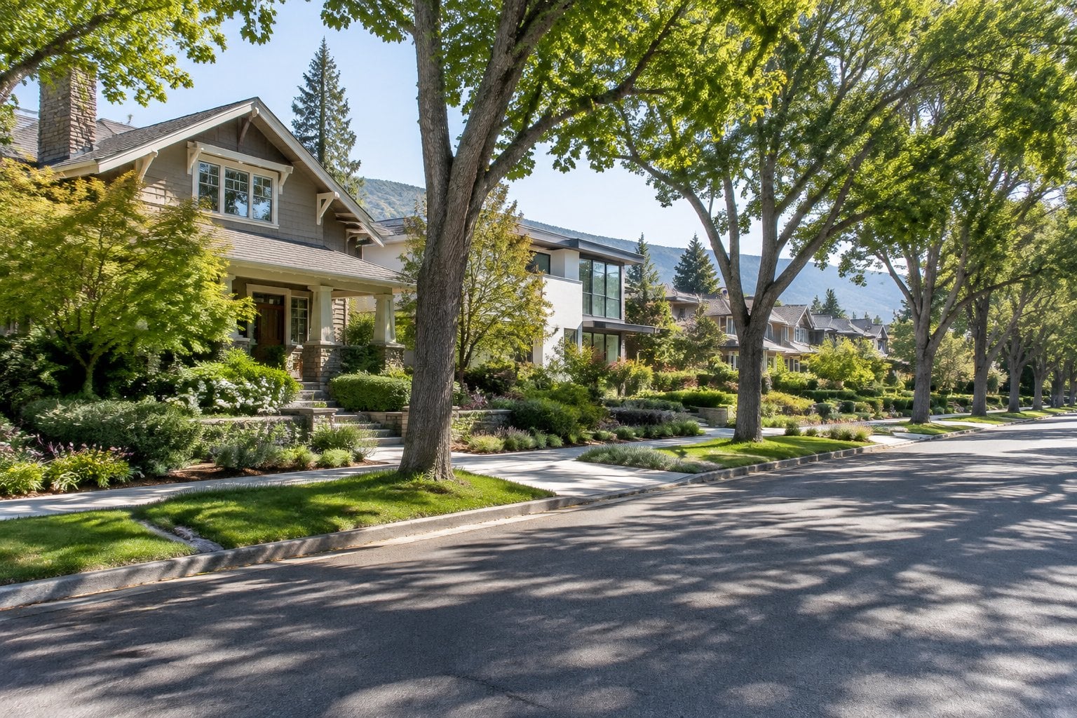 A quiet, tree-lined Palo Alto street with spacious homes and landscaped gardens.